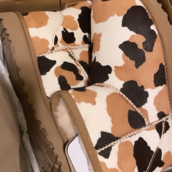 Cow print Uggs